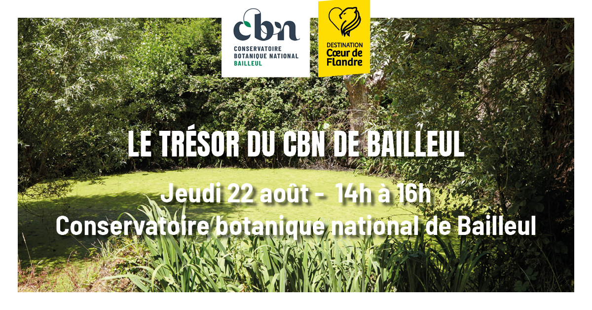  Sortie nature « Le trésor du CBN de Bailleul »