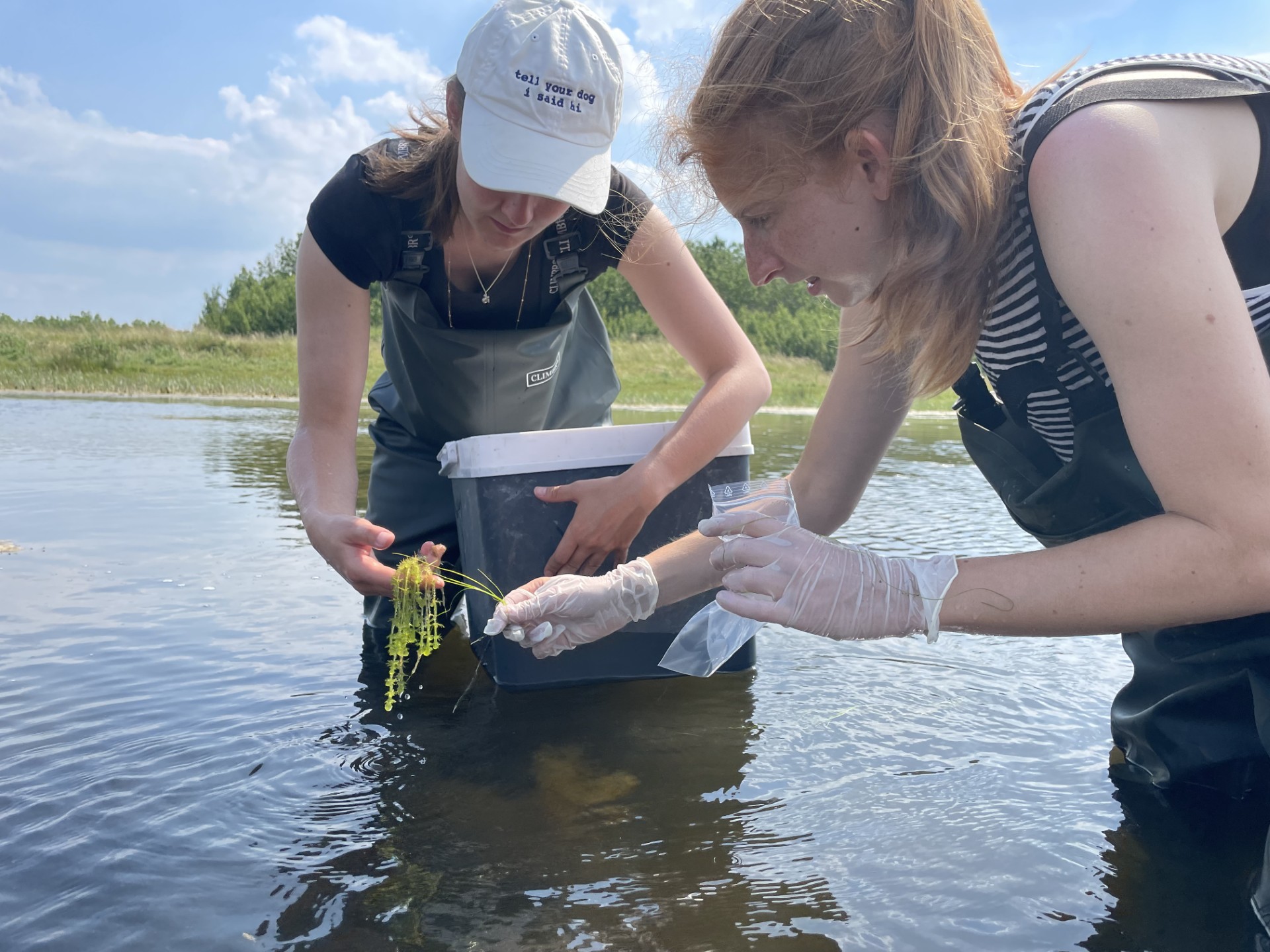 Accompagnement de chercheuses de l'Université de Rostock 