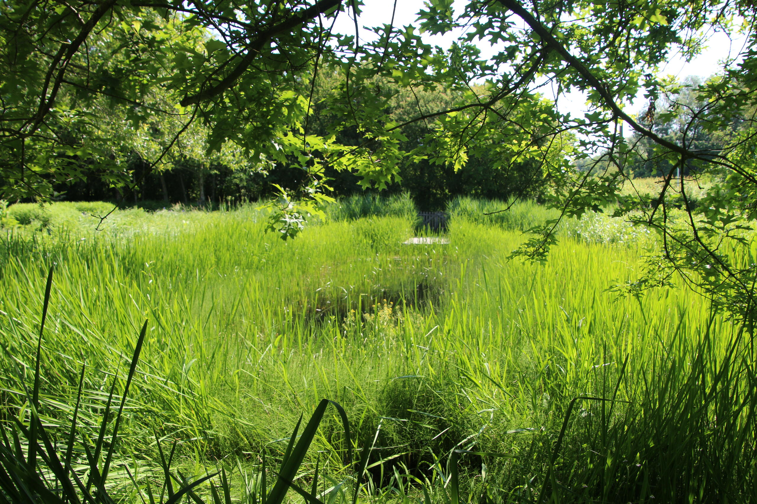 Nos jardins sont fermés le jeudi 15 août