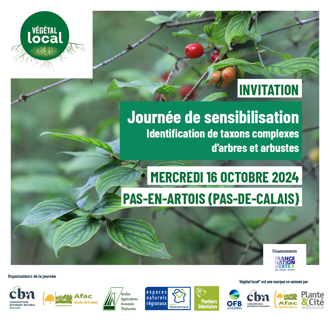 Pépiniéristes et récolteurs de Végétal local® : une journée de sensibilisation à l’identification de taxons complexes d’arbres et arbustes