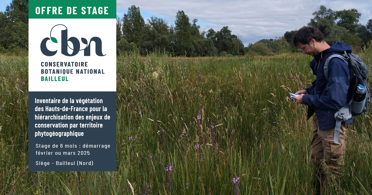 Offre de stage : "Inventaire de la végétation des Hauts-de-France pour la hiérarchisation des enjeux de conservation par territoire phytogéographique"
