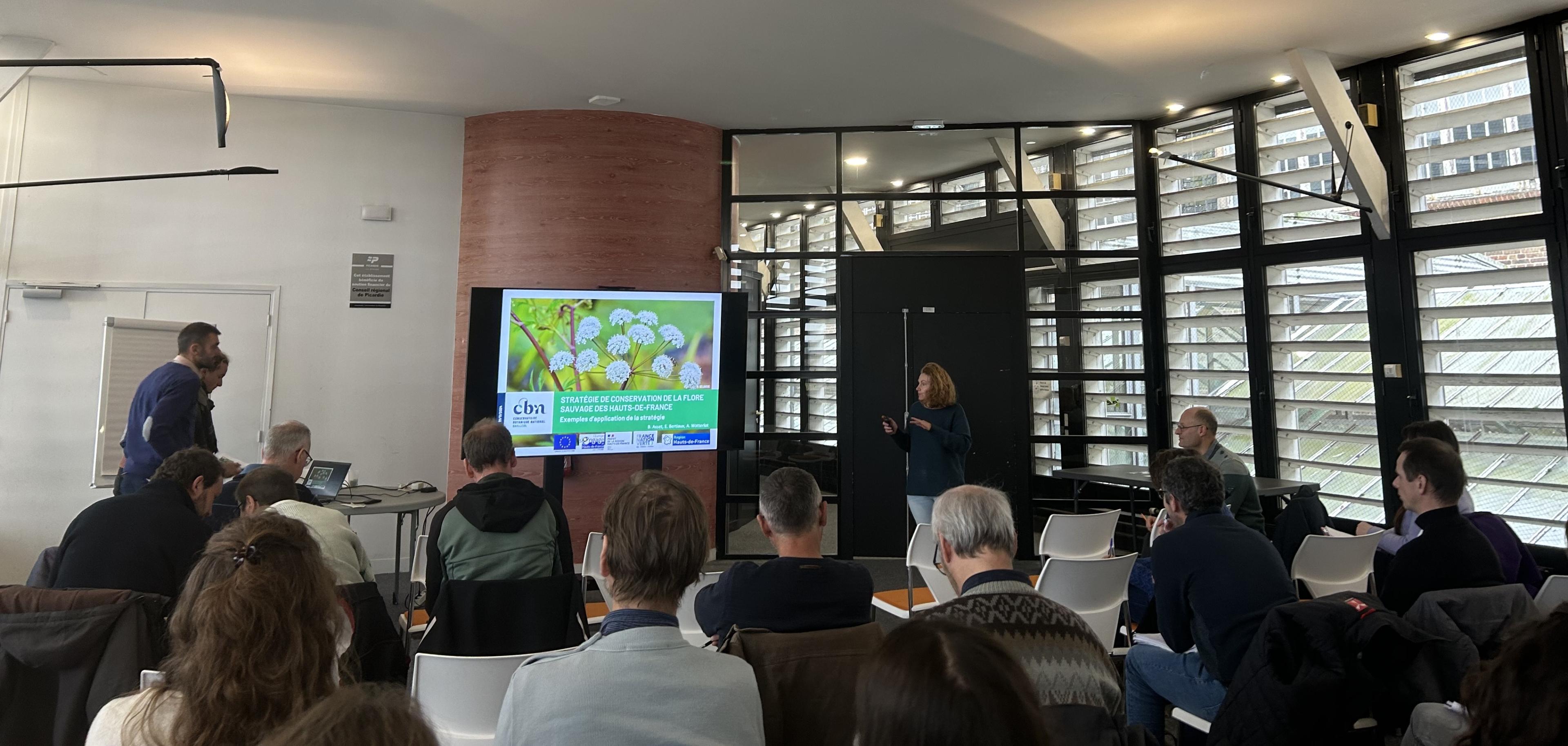 Une stratégie de conservation de la flore sauvage vasculaire des Hauts-de-France co-construite avec nos partenaires