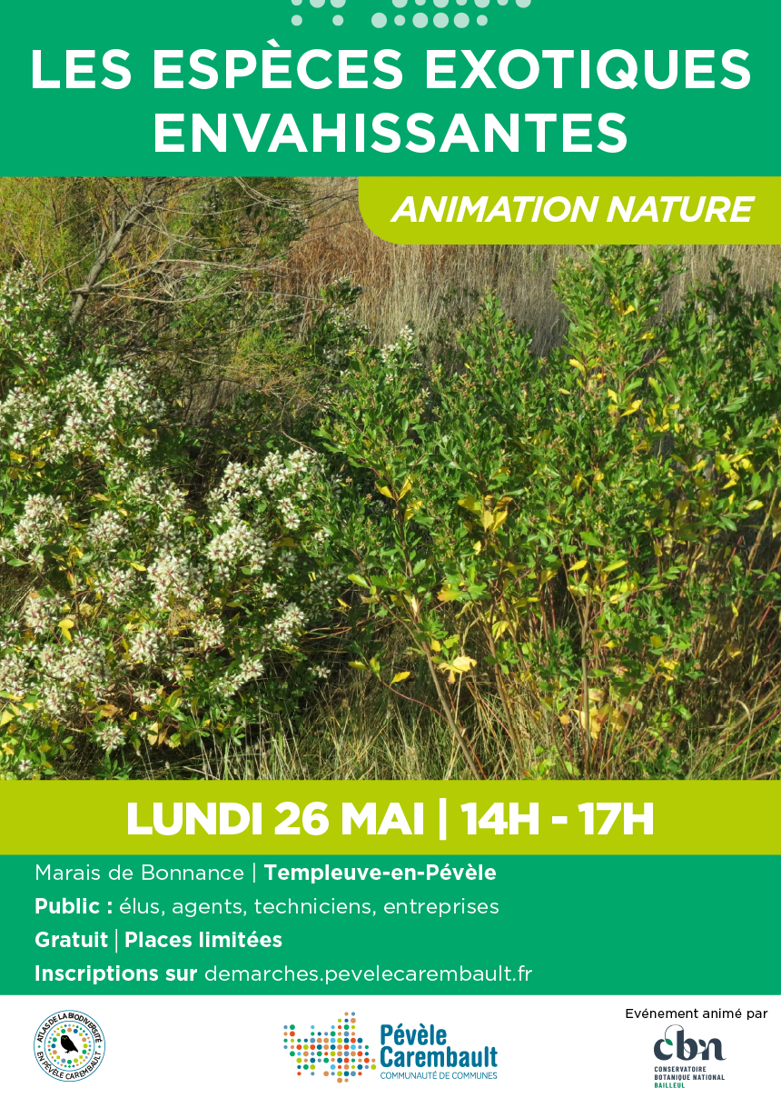 Animation nature - Les espèces exotiques envahissantes (Fretin - Nord)