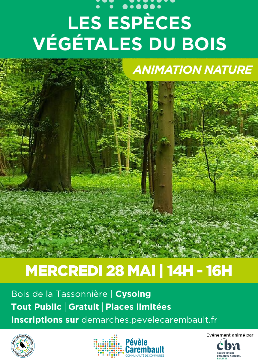 Sortie nature - Les espèces végétales du Bois (Cysoing - Nord)