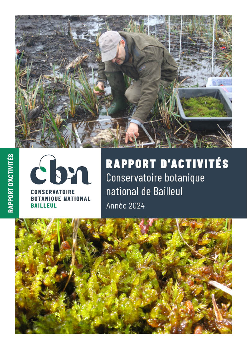 Le rapport d'activités 2024 est en ligne