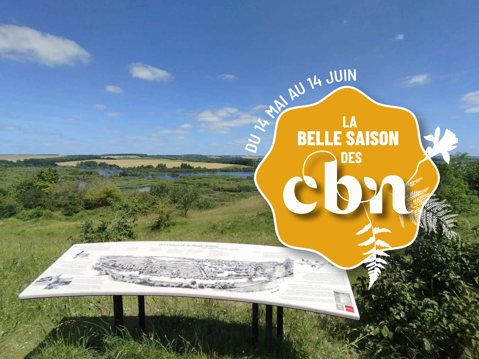 Sortie nature - Lecture de paysage et découverte de la flore sauvage du belvédère de Frise (Éclusier-Vaux | Somme)