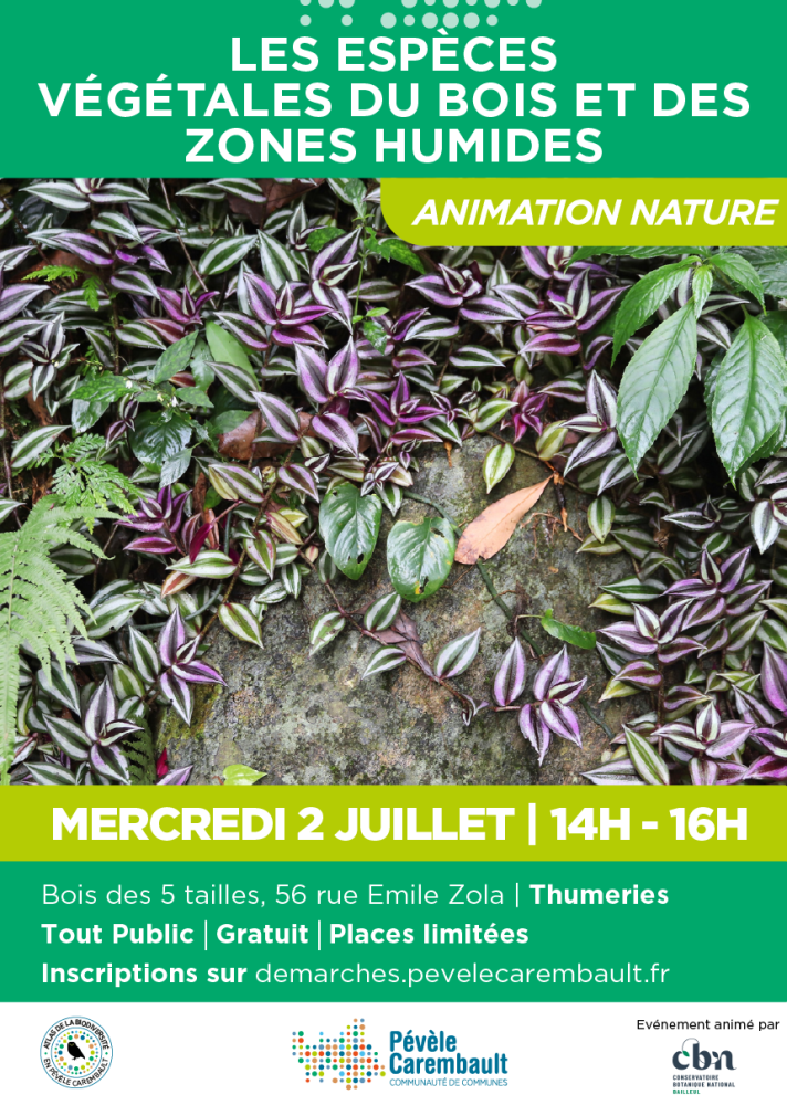 Animation nature - Les Espèces végétales du bois et des zones humides (Thumeries - Nord)