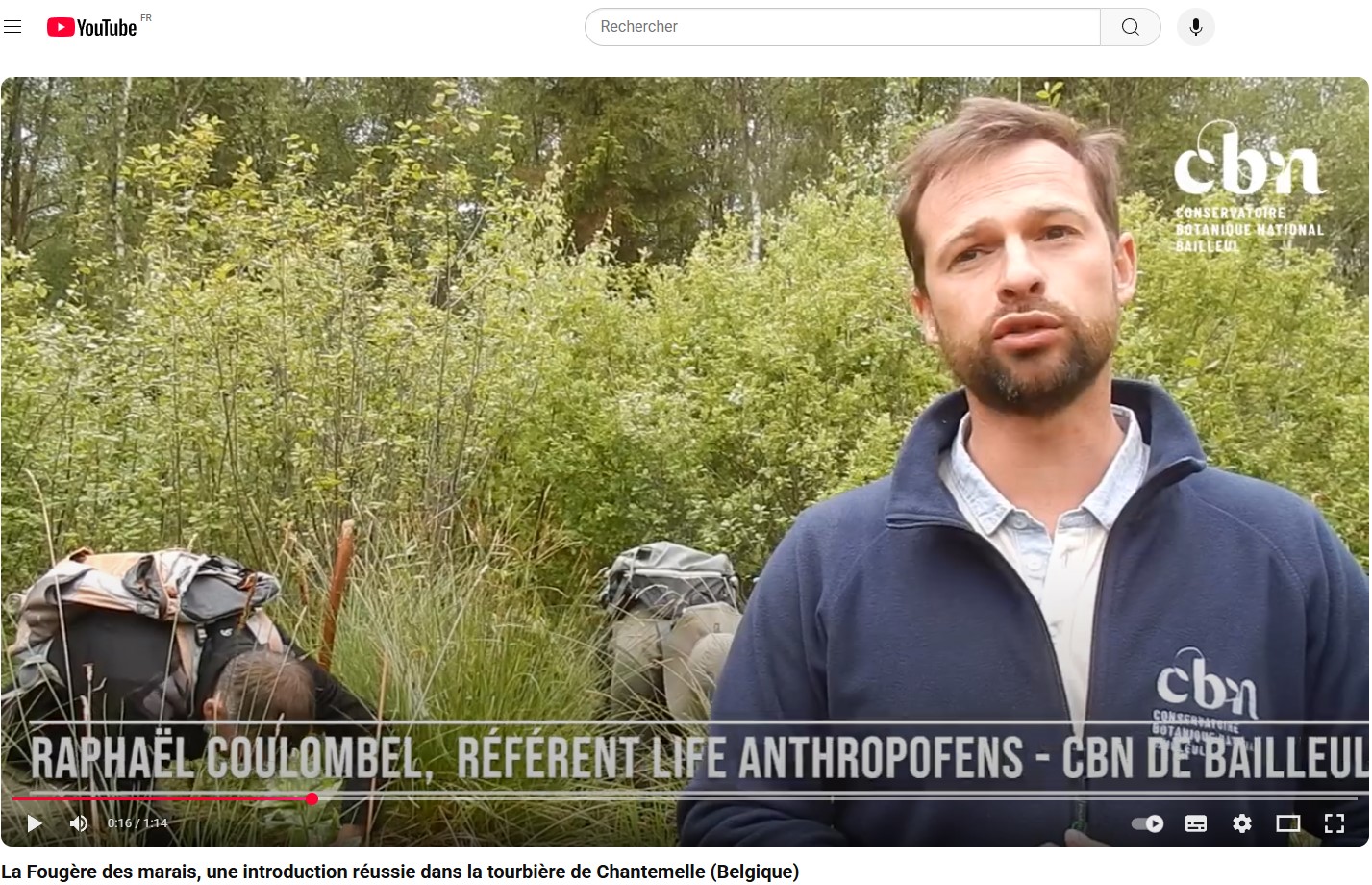 Les actions de renforcement d'espèces menées par le CBN de Bailleul en Belgique