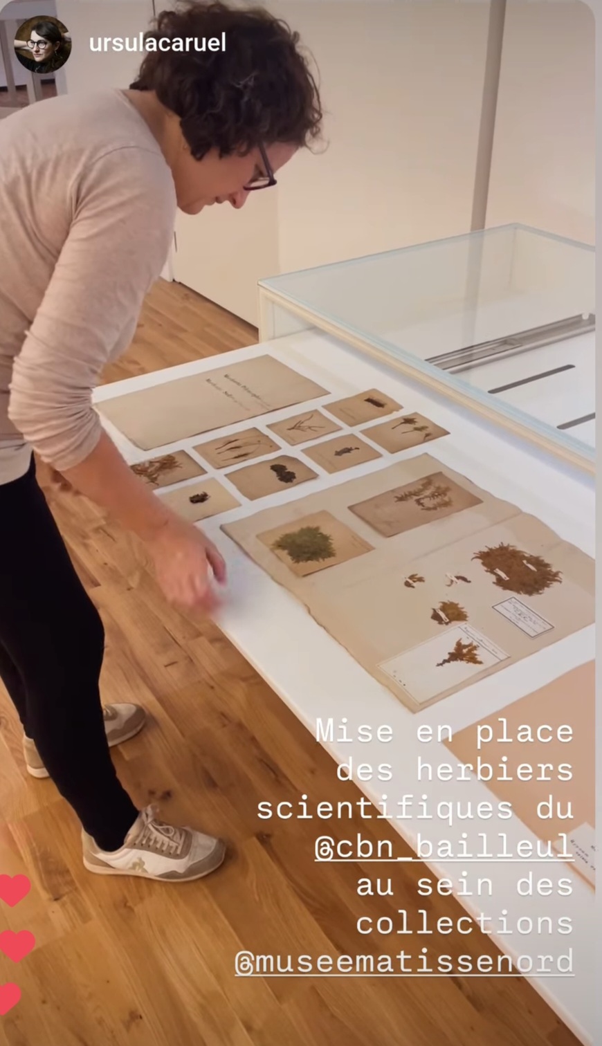 La peau des fleurs - Une exposition au Musée départemental Henri Matisse