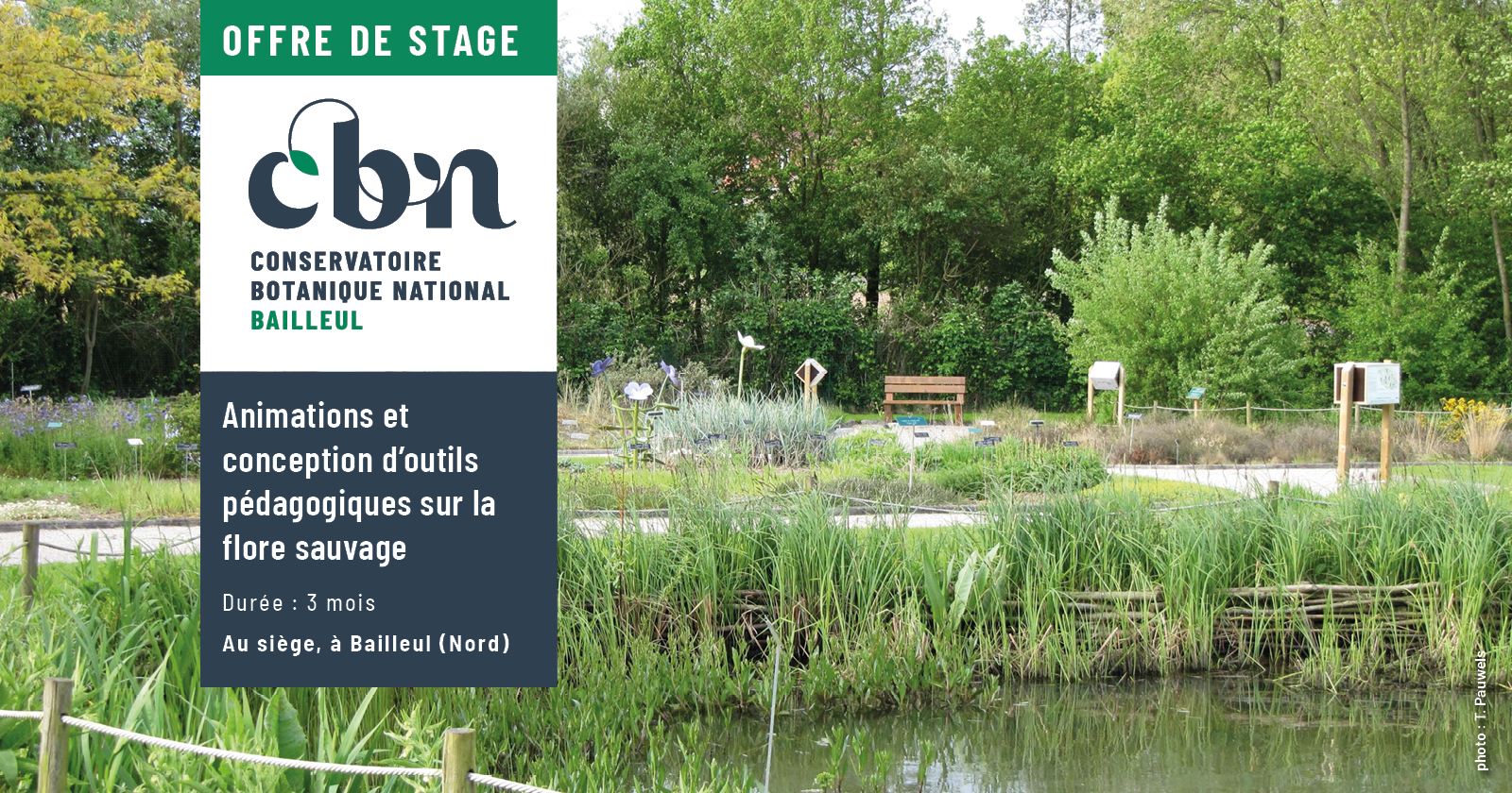 Offre de stage - Animations et conception d’outils pédagogiques sur la flore sauvage