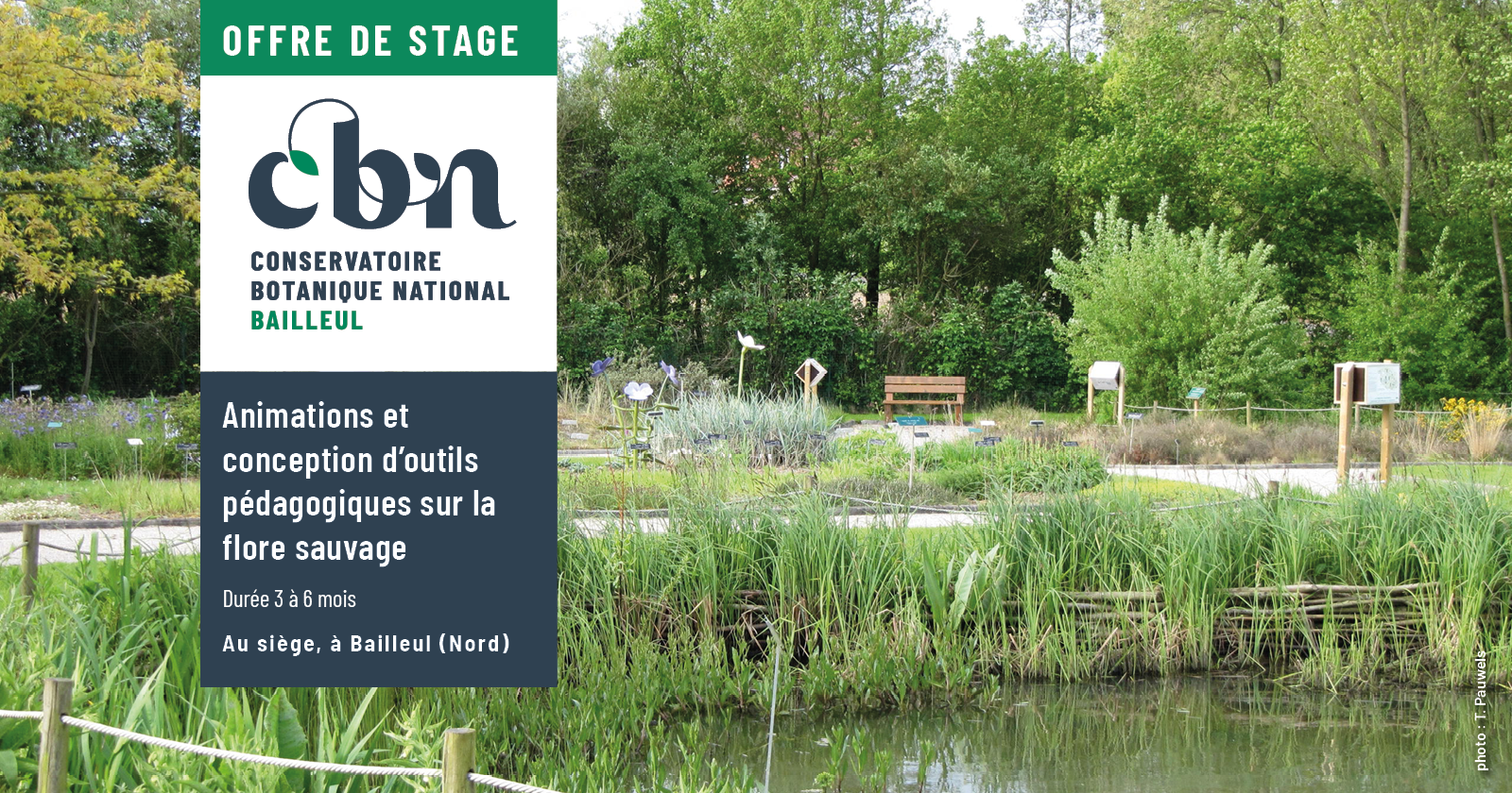 Offre de stage - Animations et conception d’outils pédagogiques sur la flore sauvage