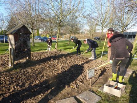 Chantier de plantation