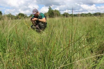 bas marais alcalin CBN Bailleul