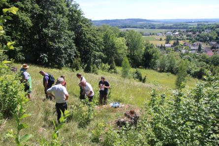 Réseau des collaborateurs