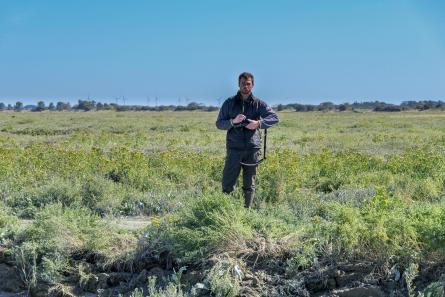 inventaire phytosociologique