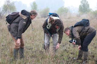 botanistes sur le terrain