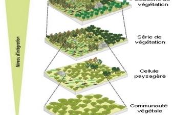 Niveaux intégration