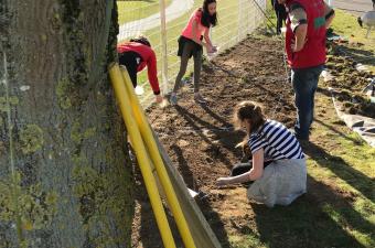 Sciences Collège Nord