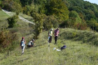 récolte de graines plantes sauvages