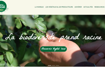 végétal local 