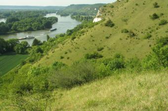 flore endémique seine normande CBNBL 