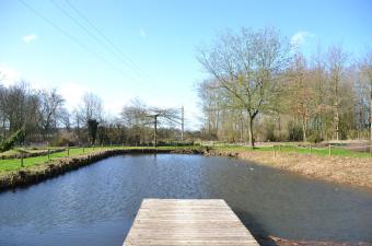 Jardin des plantes sauvages hiver