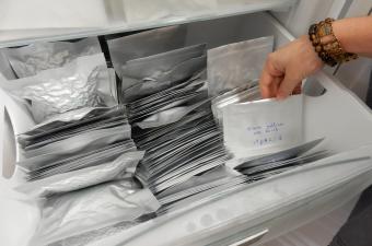 banque de semences CBNBL 