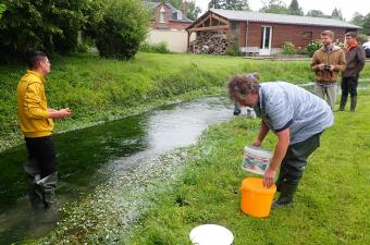 Prélèvement de boutures et fruits de Renoncules des eaux calcaires par les agents des serres de production du Jardin des plantes de Rouen, le 30 juin 2020 à Grandcourt (76) (E. Cléré).