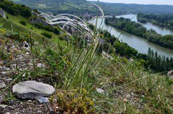 les Andelys - C. Blondel