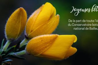 Fêtes de fin d'année CBN Bailleul