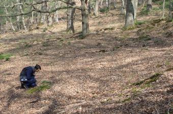 Arrivée de Florent en stage à l'antenne Normandie du CBN de Bailleul