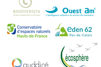  25 000 nouvelles données d'observation flore/habitat