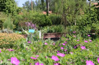 Le CBN de Bailleul fermé ce jeudi 26 mai