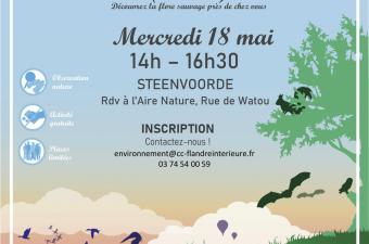 Inventaire participatif flore sauvage à Steenvoorde (59)