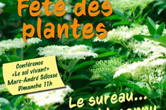 Stand à la Fête des plantes de la citadelle de Doullens (Somme)