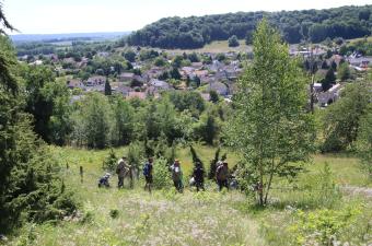 Retour sur les "Rencontres botaniques" en pays laonnois