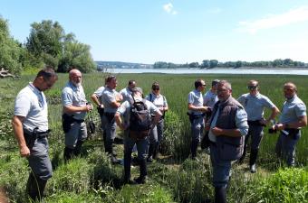L’OFB et le CBN de Bailleul au marais du Trait