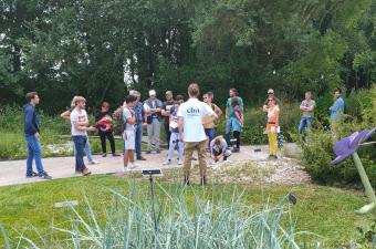 Retour sur les journées d'initiation à la flore des zones humides (Nord et Pas-de-Calais) 