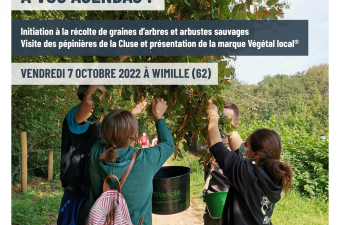 À vos agendas ! Journée d'initiation à la récolte de graines d'arbres et arbustes sauvages