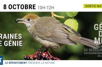 Sortie nature "Graines de génie" à Villers-Cotterêts (Aisne)