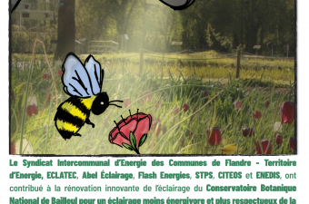 Début des travaux d'éclairage au siège du CBN de Bailleul !