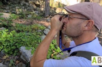 A la découverte des bryophytes de la communauté de communes Picardie des Châteaux