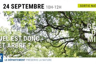 Quel est donc cet arbre ? Inventaire participatif à Géodomia (Aisne)