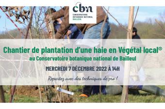 Chantier de plantation d'une haie en Végétal local® au CBN de Bailleul