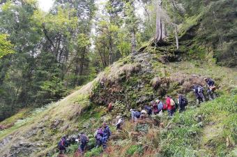 Un réseau actif pour l’étude des bryophytes