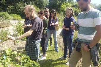 La fin d’un cycle d'initiation à la botanique… À renouveler !