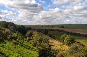 Sortie nature : "Du larris à la vallée" (Somme)