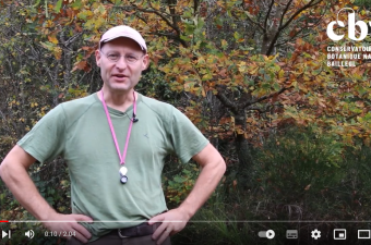Vidéo : translocation de la Scorpidie verdâtre, de la Lorraine belge à l'Aisne