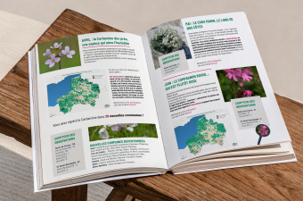 Bilan des "Enquêtes du mois" 2022 !