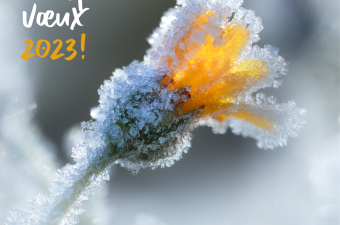 Meilleurs vœux 2023 !